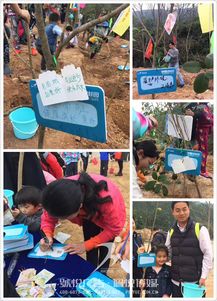 碧桂园植树节 佩悦传媒以专业公关策划，赋能绿色品牌行动