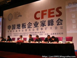 奇致品牌全程策划，2011中国地板企业家峰会盛典圆满落幕