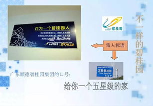 碧桂园的公关策划 以匠心筑家，以真诚沟通